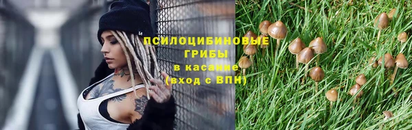 дурь Алексин
