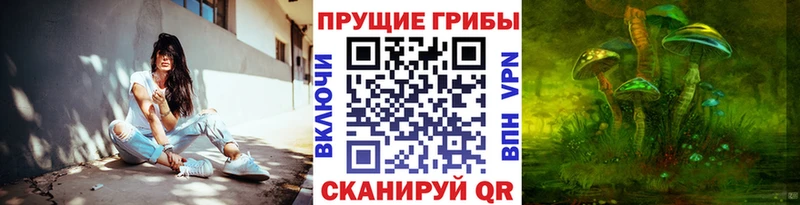Псилоцибиновые грибы мицелий гидра tor Чердынь